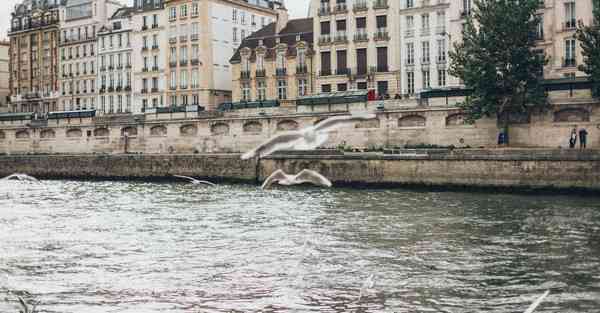 物流大数据复习