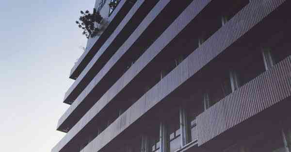 外国语单招大数据的行业文章