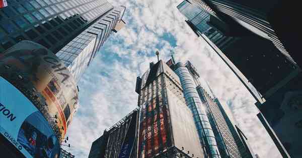 外国语单招大数据的行业文章