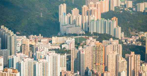 外国语单招大数据的行业文章