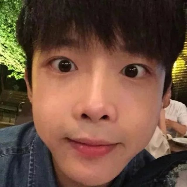 公羊丹宜莺
