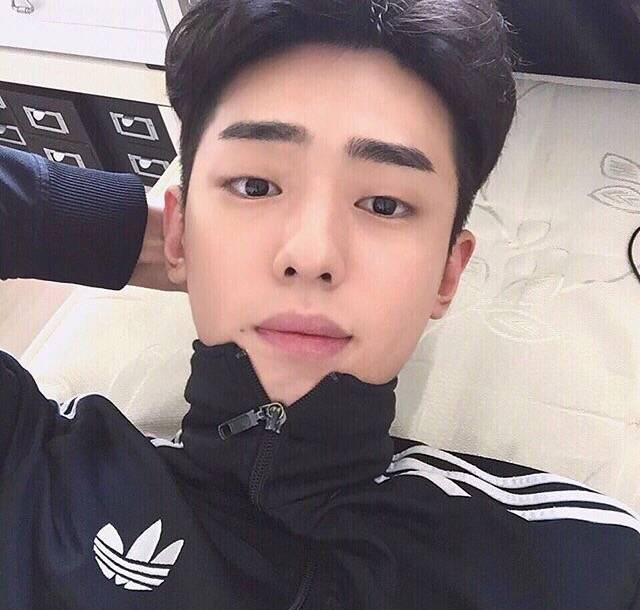 翁欣梵淑