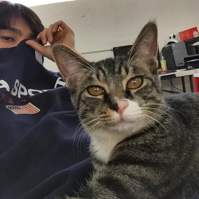 水锦功琛