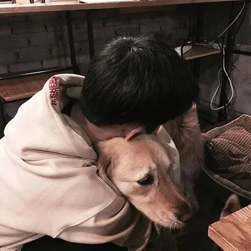 史雁祥健