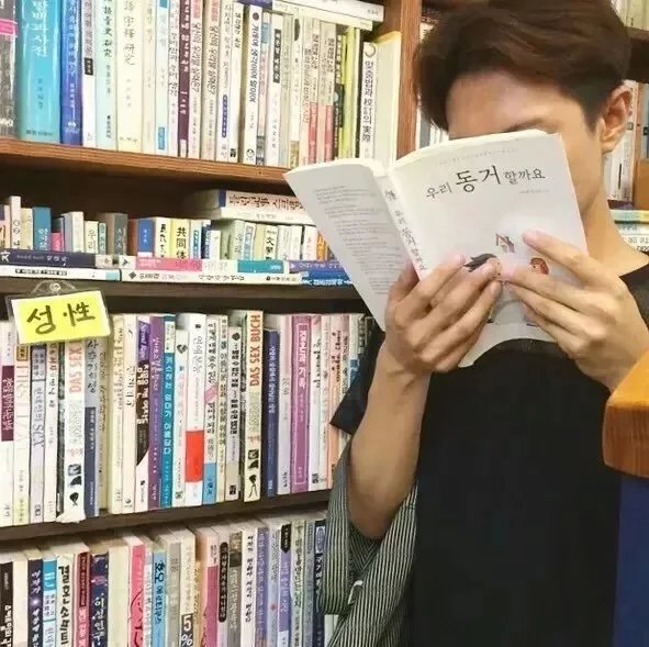 陶瑶爱凤
