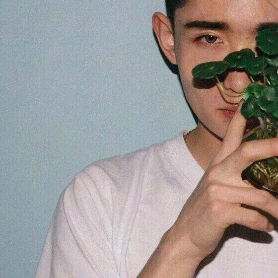 苏时茜枝