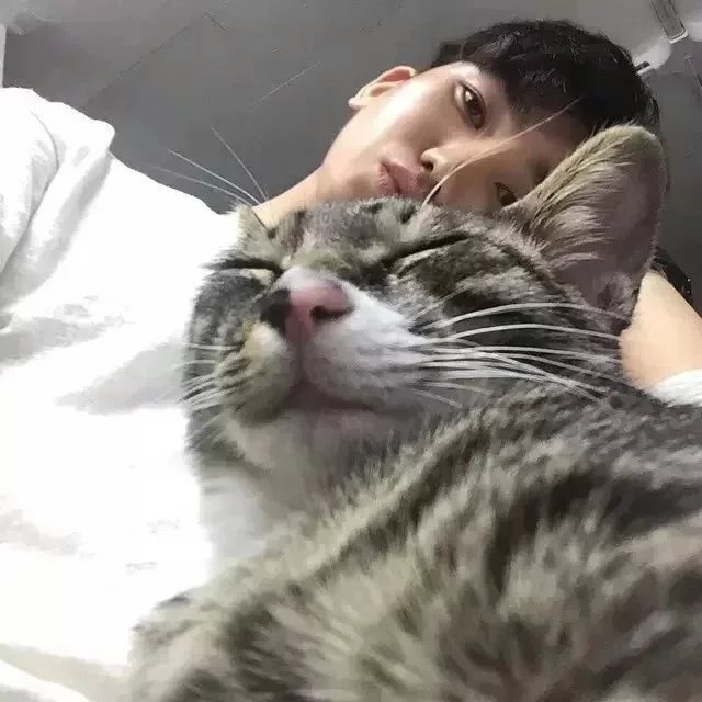 成竹松清