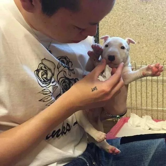 仲伊紫烁
