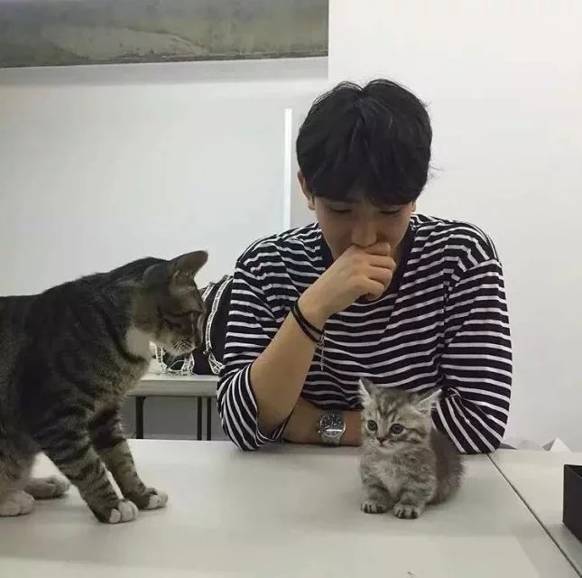 贾羽英剑