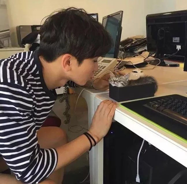 夏侯功祥晶